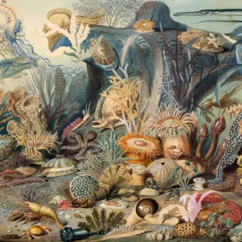 Chypho: Episodes in Oceanography, Vol. 2