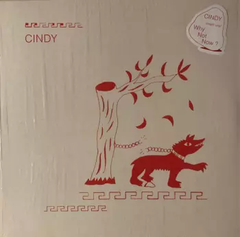 Cindy: Why Not Now?