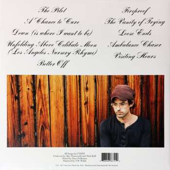 LP Clap Your Hands Say Yeah: The Tourist LTD | CLR