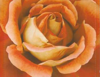 CD Clara Haberkamp Trio: Orange Blossom