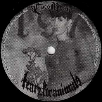 SP CocoRosie: We Are On Fire