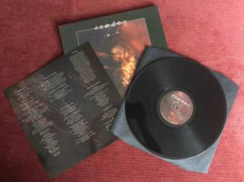 LP Code: Flyblown Prince