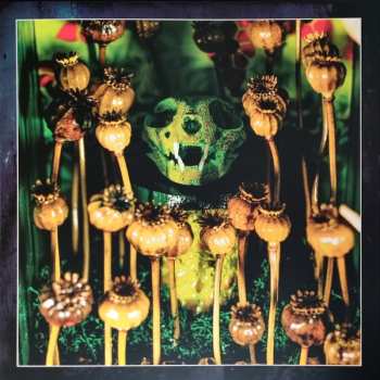 4CD Coil: Astral Disaster (The Definitive Edition) 