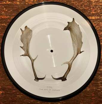 3LP Coil: The Ape Of Naples LTD | NUM | PIC