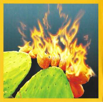 CD Coma Cose: Hype Aura