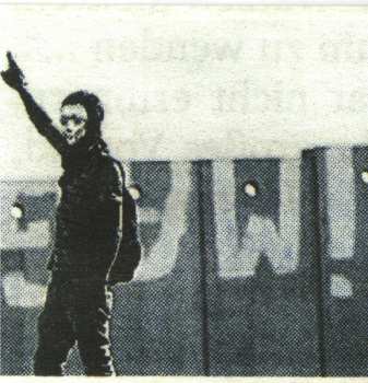 CD Contrastate: A Breeding Ground For Flies LTD