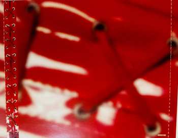 LP Coral Segovia: Coral