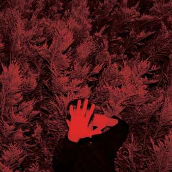 CD Cory Thomas Hanson: The Unborn Capitalist From Limbo