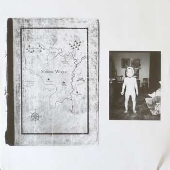 LP Creeping Pink: Mirror Woods LTD