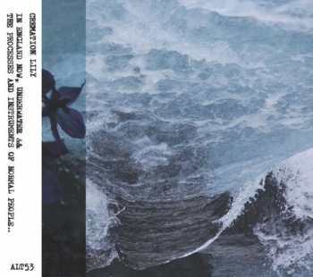 Album Cremation Lily: In England Now & The Processes