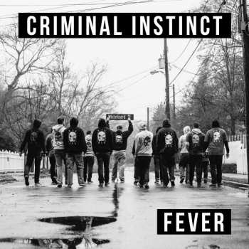 SP Criminal Instinct: Fever