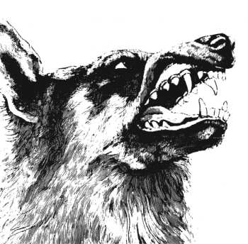 LP Crippled Black Phoenix: I, Vigilante