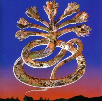 Cyclobe: Wounded Galaxies Tap At The Window