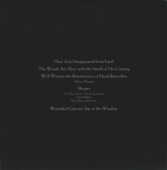 CD Cyclobe: Wounded Galaxies Tap At The Window