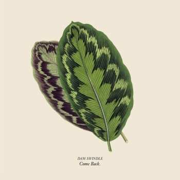 LP Dam Swindle: Come Back CLR