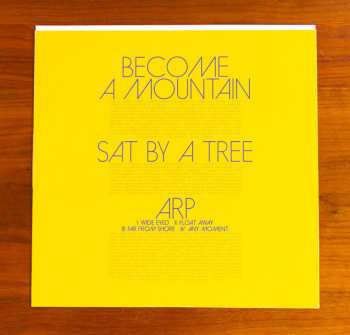 LP Dan Deacon: Mystic Familiar LTD | DLX | CLR
