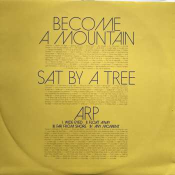 LP Dan Deacon: Mystic Familiar