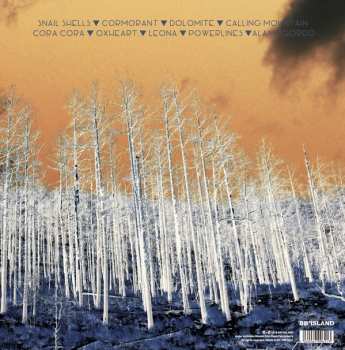 LP Dana Falconberry And Medicine Bow: From The Forest Came The Fire