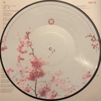 LP Daria Zawiałow: Wojny I Noce = 戦争と夜 PIC