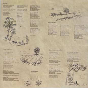 LP Dark Forest: Ridge & Furrow LTD