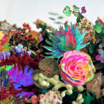 CD Darkstar: News From Nowhere