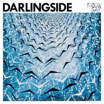 2LP Darlingside: Birds Say