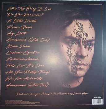 2LP Darren Hayes: Homosexual CLR