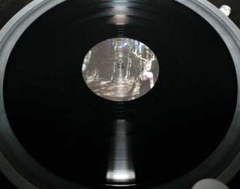 2LP Dasha Rush: Sleepstep - Sonar Poems For My Sleepless Friends