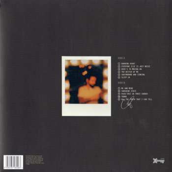 LP Dashboard Confessional: All The Truth That I Can Tell