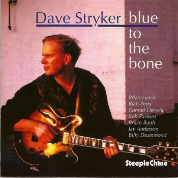 Dave Stryker: Blue To The Bone