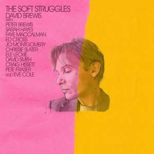 LP David Brewis: The Soft Struggles
