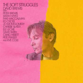 CD David Brewis: The Soft Struggles