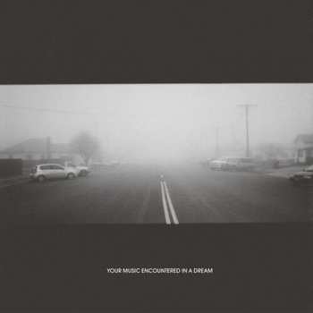 Album David Grubbs: Your Music Encountered In A Dream
