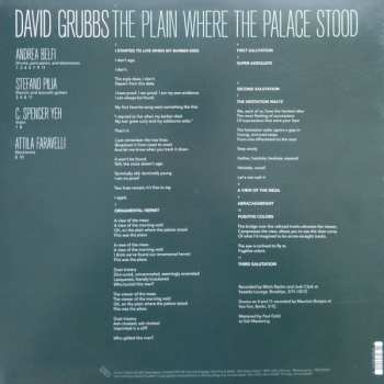 LP David Grubbs: The Plain Where The Palace Stood