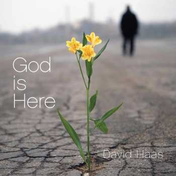 CD David Haas: God Is Here
