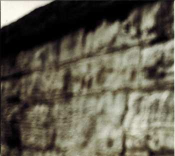 2CD David Olney: Predicting The Past (Introducing Americana Music Vol.2)