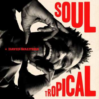 2LP David Walters: Soul Tropical