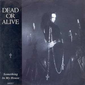 SP Dead Or Alive: Something In My House