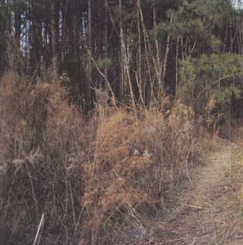 2CD Death In Vegas: Trans-Love Energies DIGI