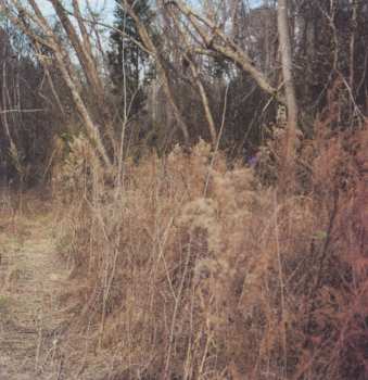 2CD Death In Vegas: Trans-Love Energies DIGI