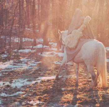 2CD Death In Vegas: Trans-Love Energies DIGI