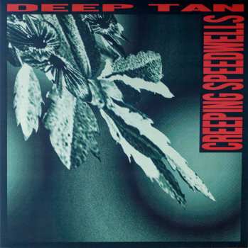 Album Deep Tan: Creeping Speedwells