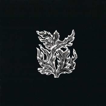 CD Delays: Star Tiger Star Ariel