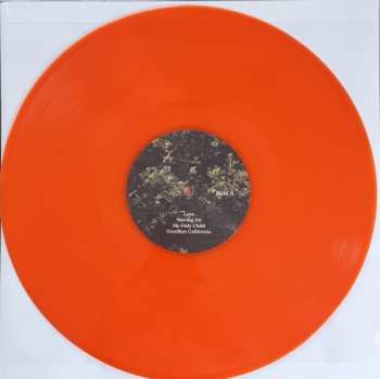 LP Delia Meshlir: Bring Back The Light CLR | LTD