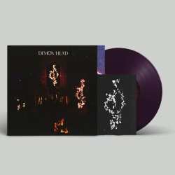 LP Demon Head: Through Holes Shine The Sta