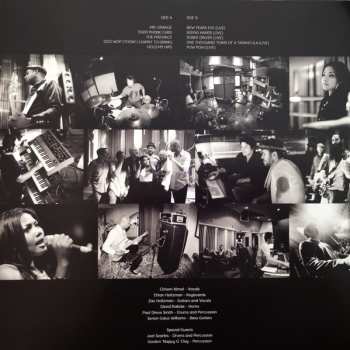 LP Dengue Fever: In The Ley Lines LTD