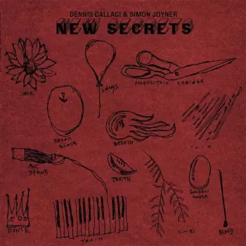 Dennis Callaci: New Secrets