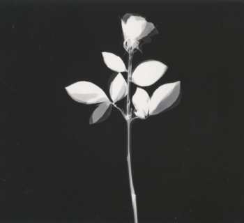 CD/DVD Depeche Mode: Violator