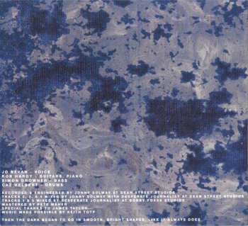 CD Desperate Journalist: You Get Used To It