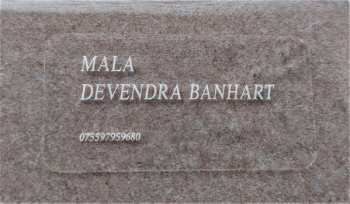 LP/SP Devendra Banhart: Mala